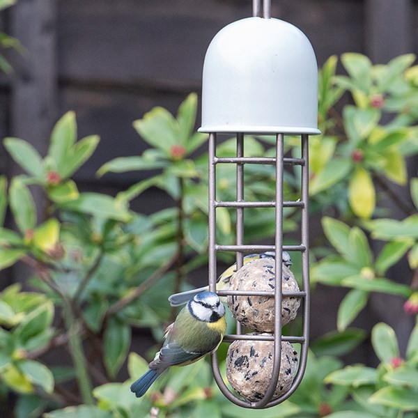 Tree hanging fat ball feeder - putty