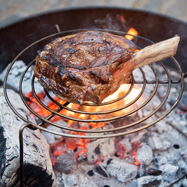 Free standing open fire cooking grill