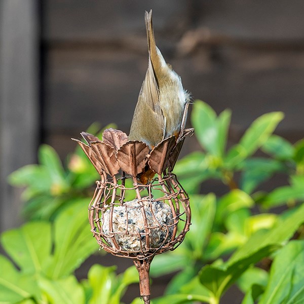 Poppy seed head fat snax feeder - rust