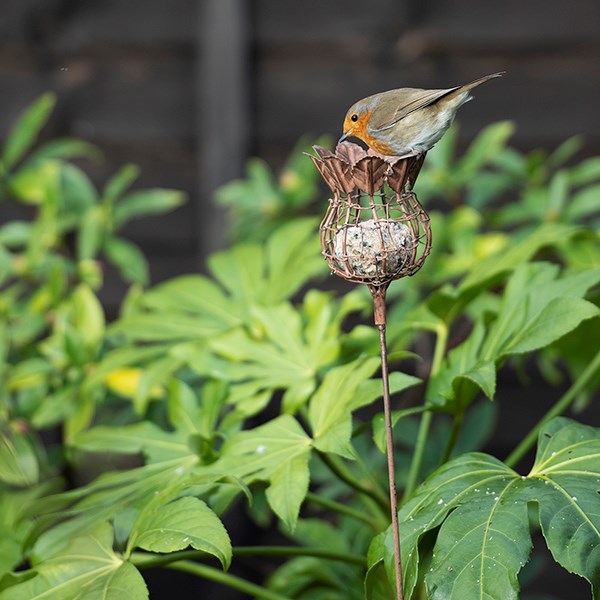 Poppy seed head fat snax feeder - rust