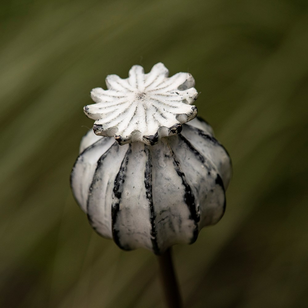 Perennial plant/bulb marking stake poppy seed head