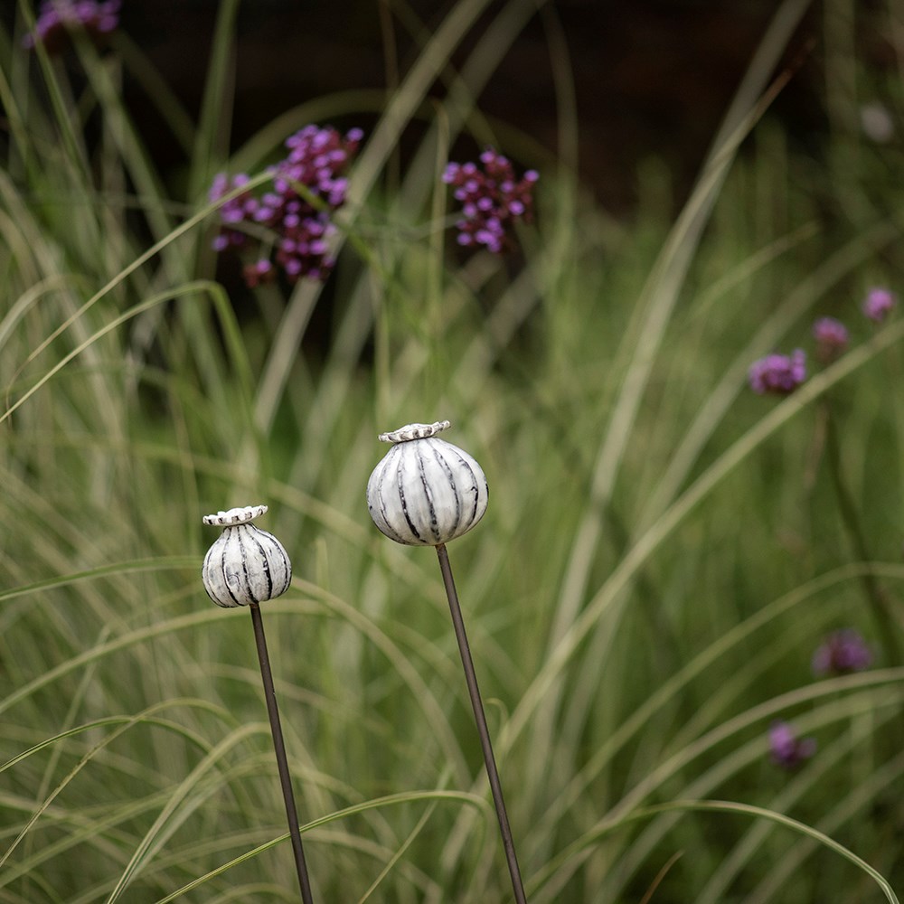Perennial plant/bulb marking stake poppy seed head