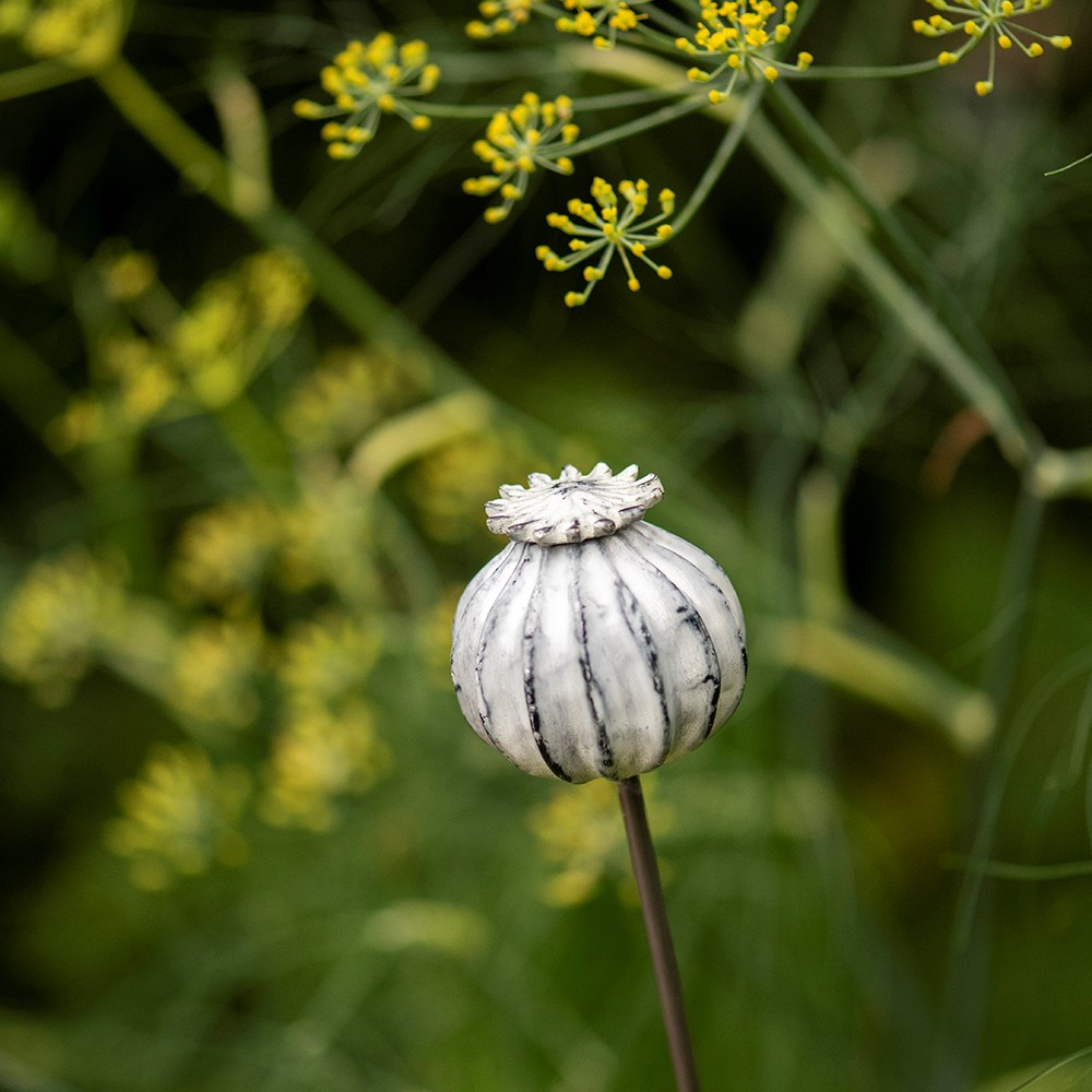 Perennial plant/bulb marking stake poppy seed head