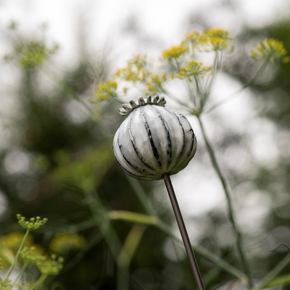 Perennial plant/bulb marking stake poppy seed head