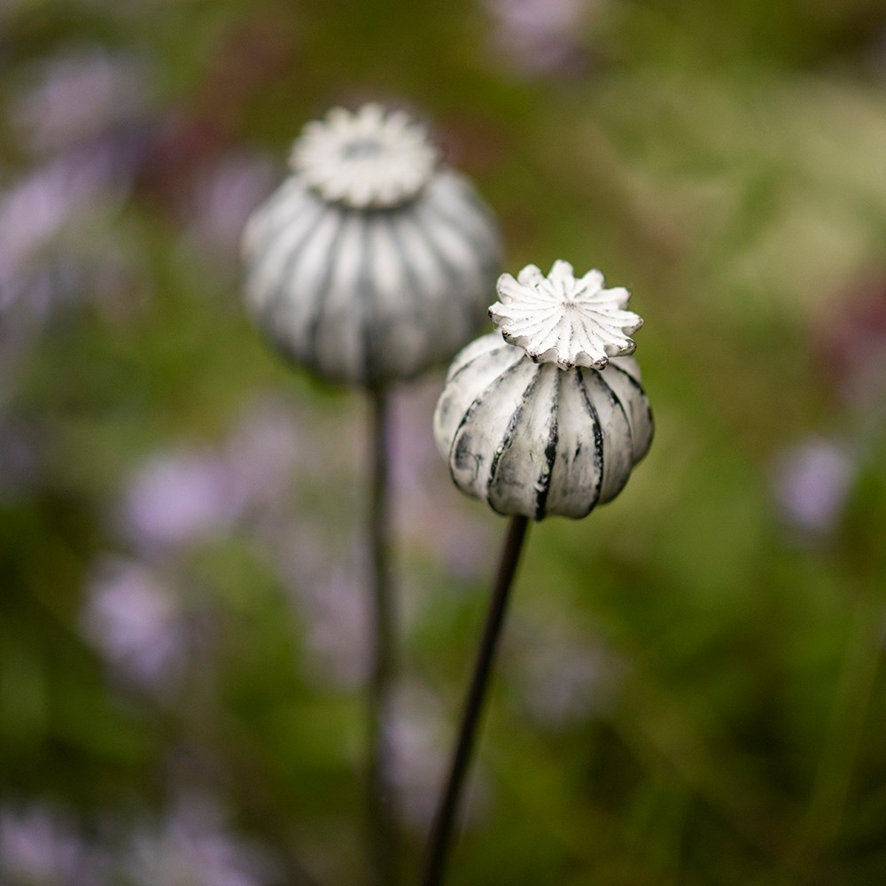 Perennial plant/bulb marking stake poppy seed head