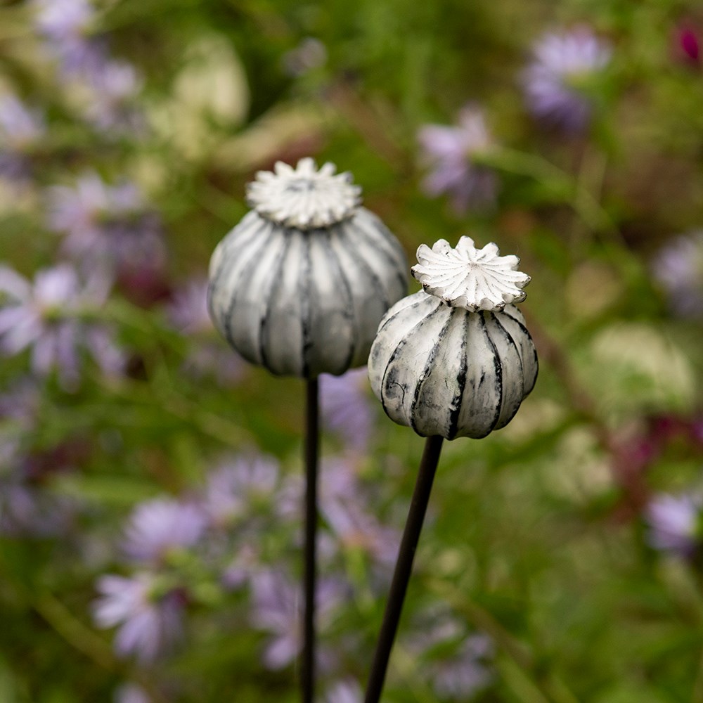 Perennial plant/bulb marking stake poppy seed head