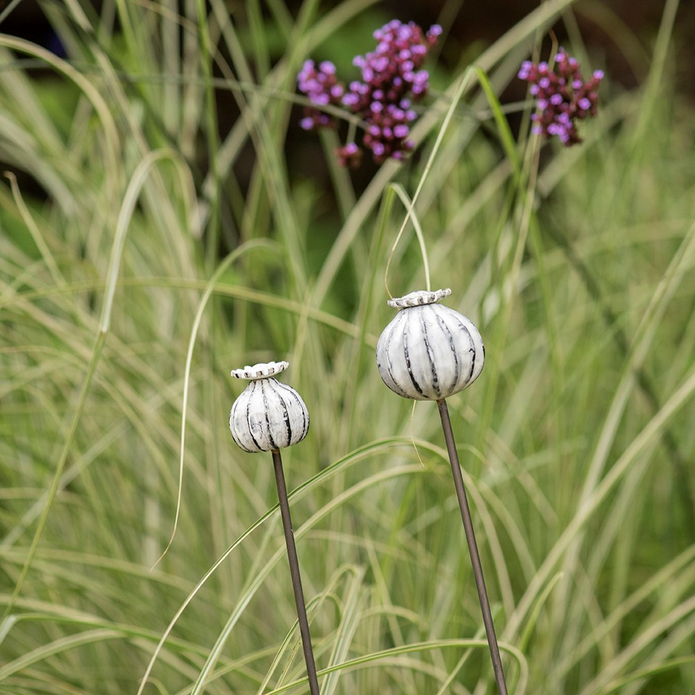 Perennial plant/bulb marking stake poppy seed head