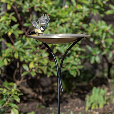 Bird bowl on a stake - brushed brass
