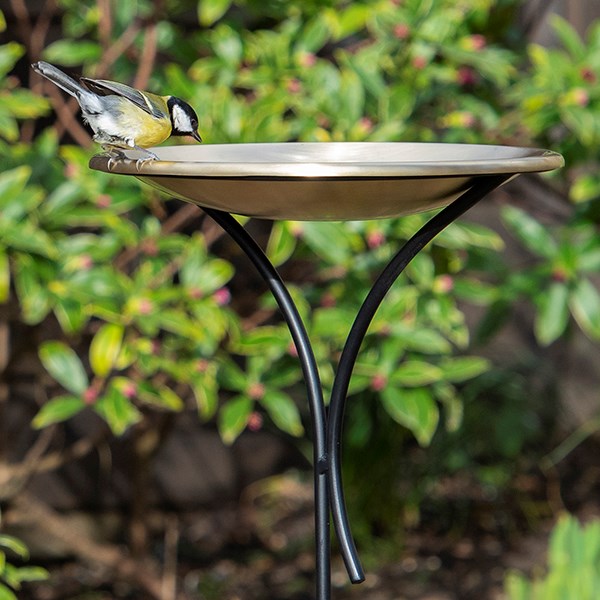 Bird bowl on a stake - brushed brass