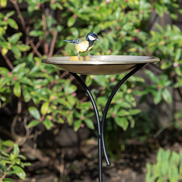 Bird bowl on a stake - brushed brass