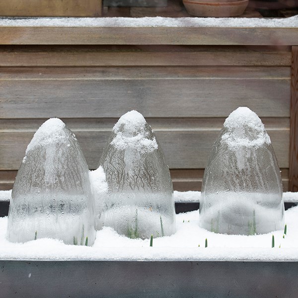 Glass cloches - set of 3