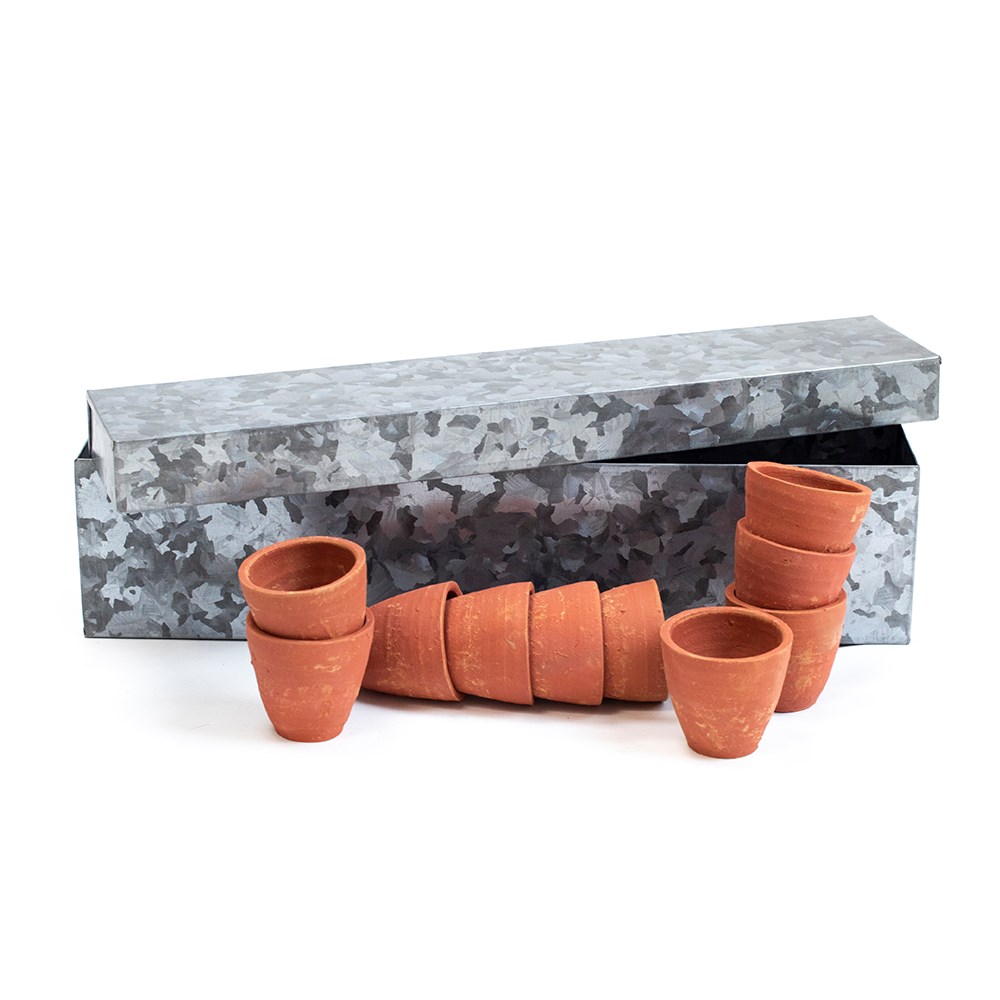 Galvanised metal box with ten grow pots