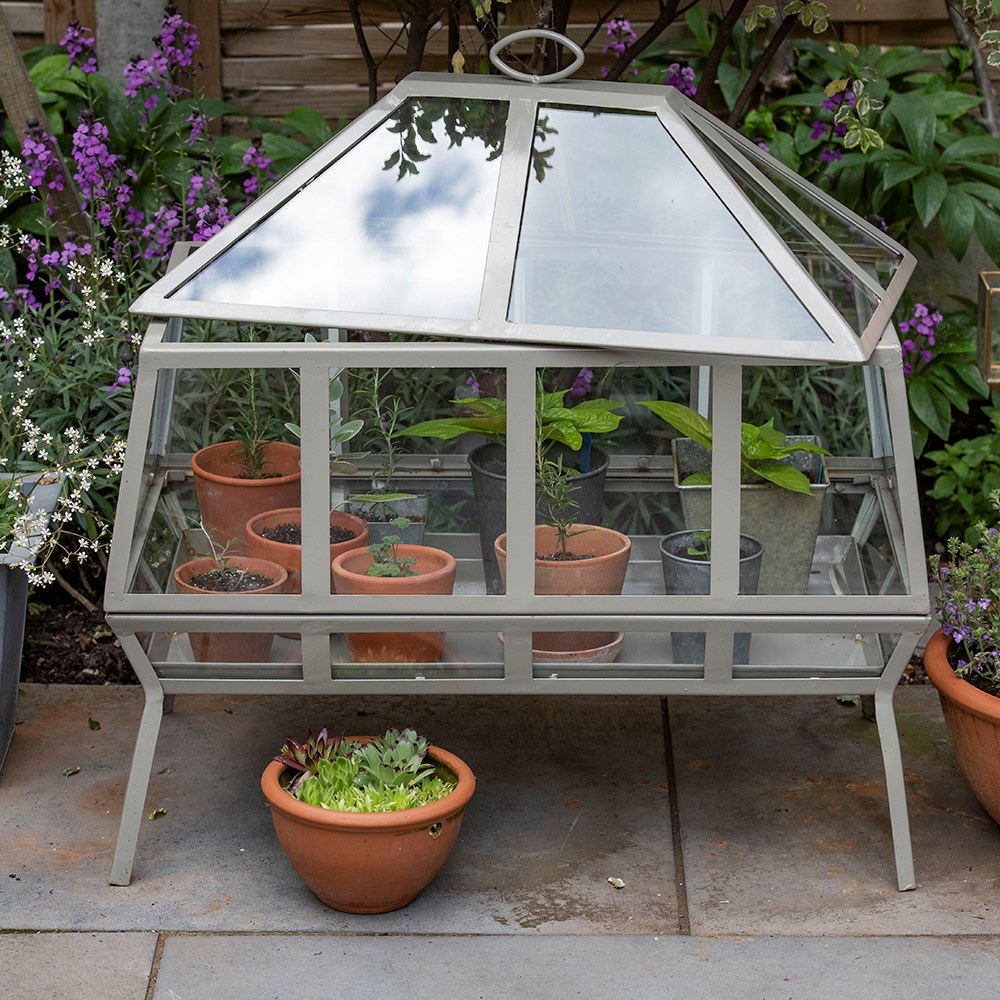 Rectangular Victorian growhouse - khaki