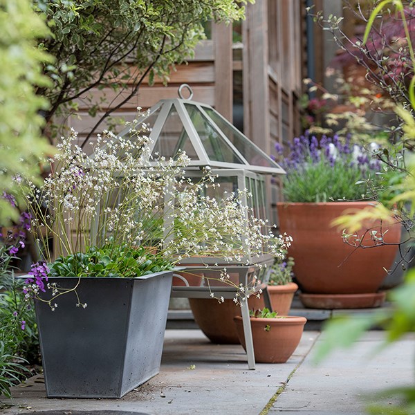 Rectangular Victorian growhouse - khaki