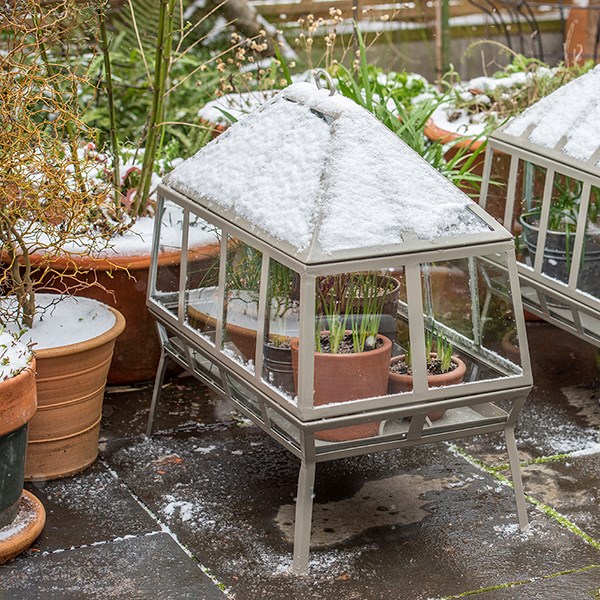 Rectangular Victorian growhouse - khaki