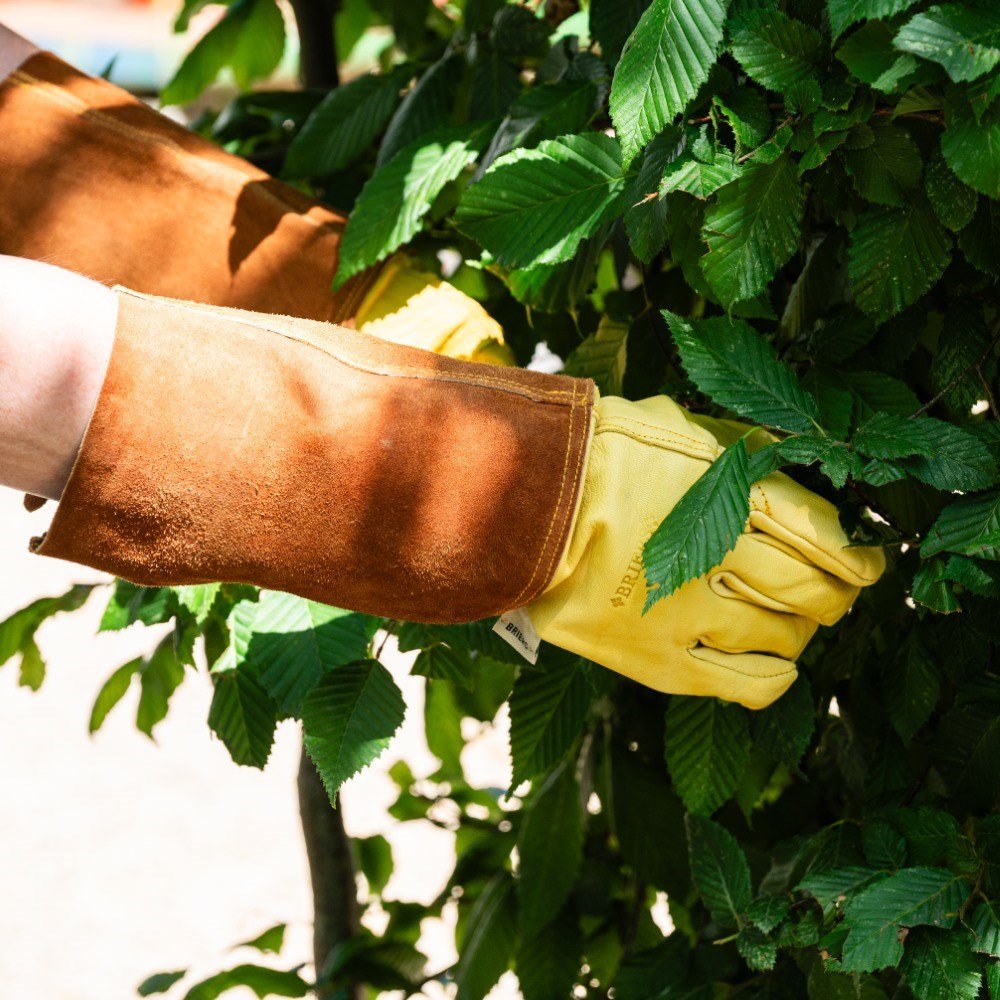 Ultimate golden leather gauntlet gloves