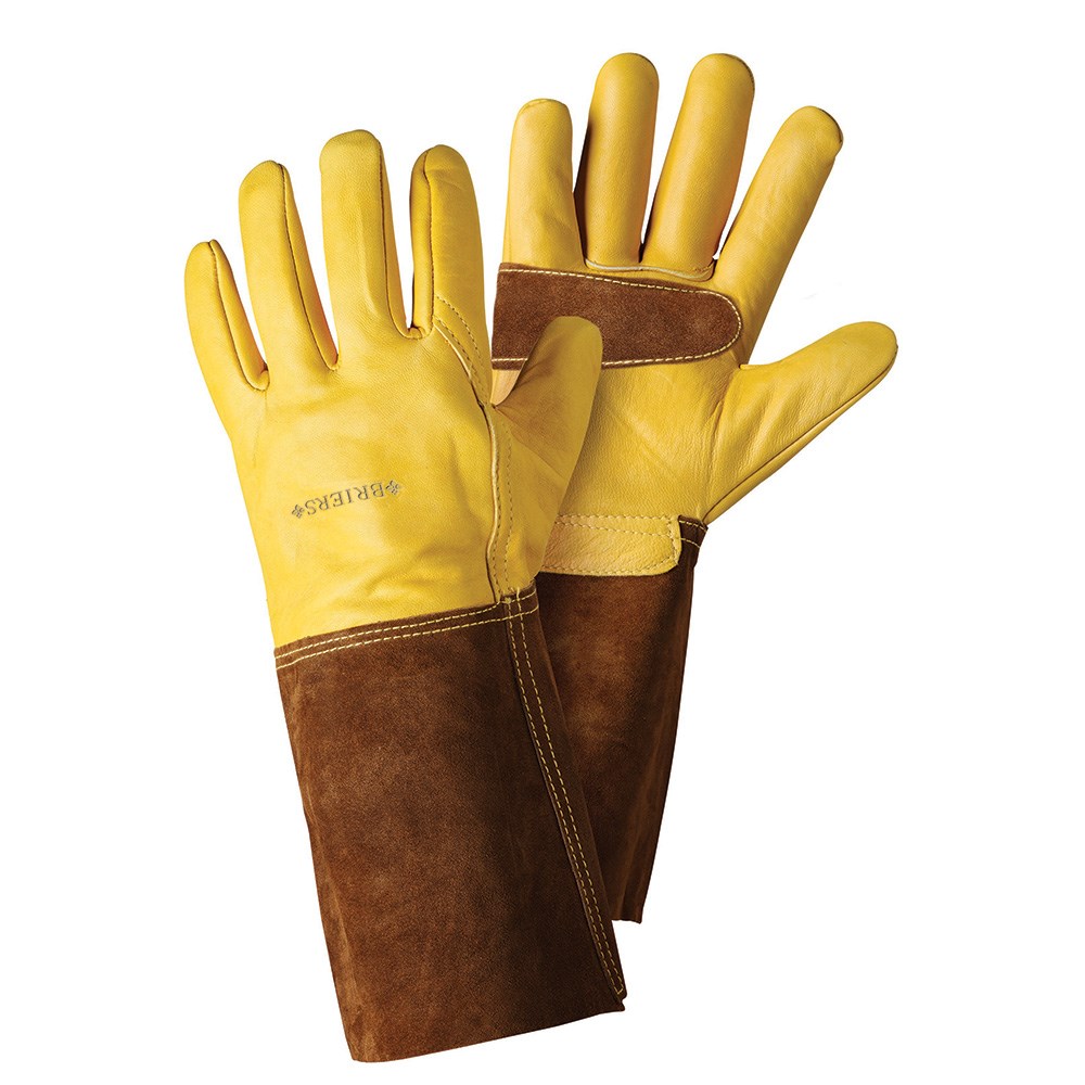Buy Ultimate golden leather gauntlet gloves: Delivery by Crocus