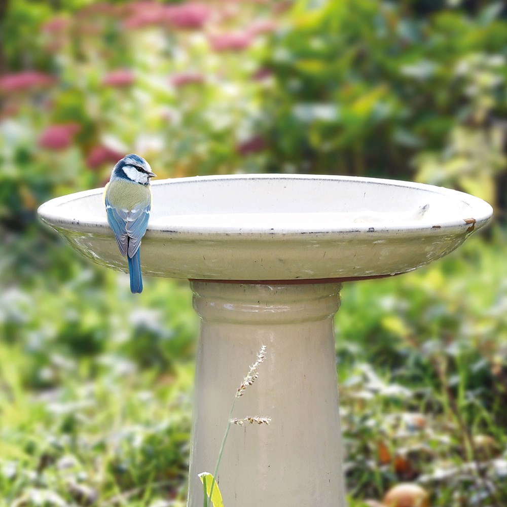 Ceramic bird bath on pedestal - white