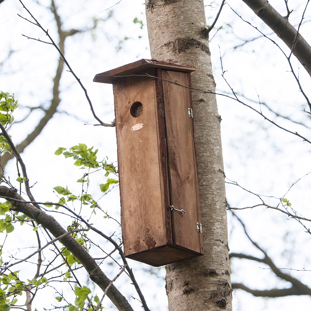 Woodpecker large bird house 