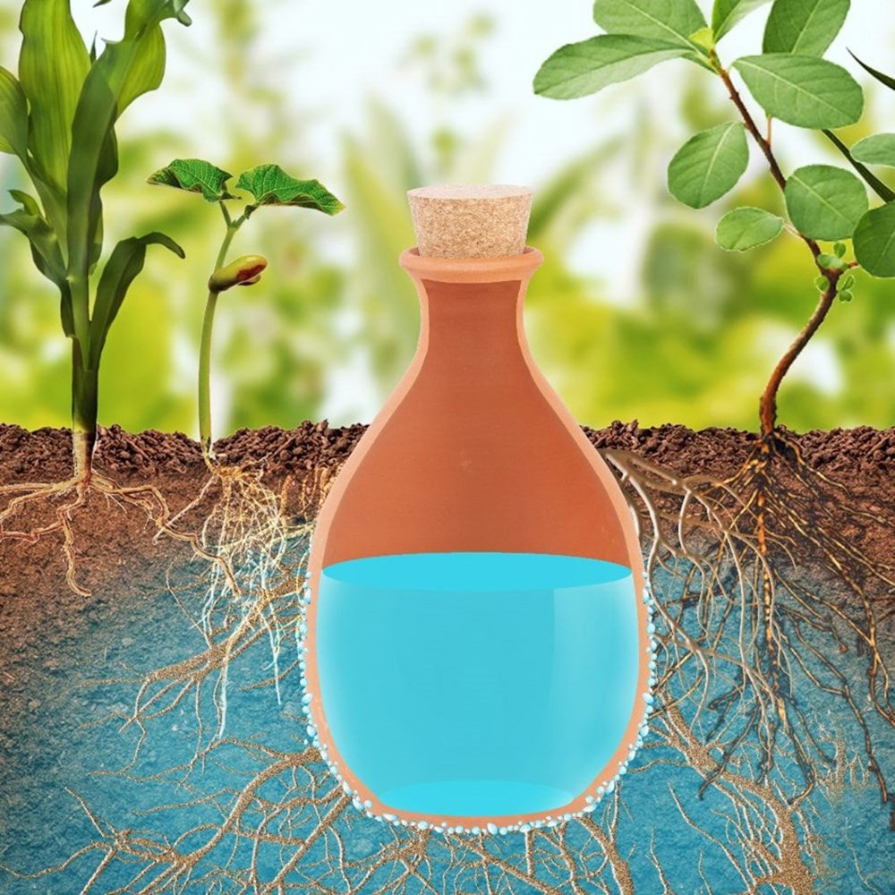 Olla irrigation pot