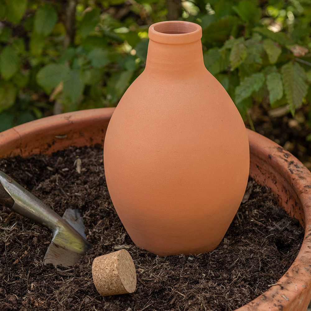 Olla irrigation pot