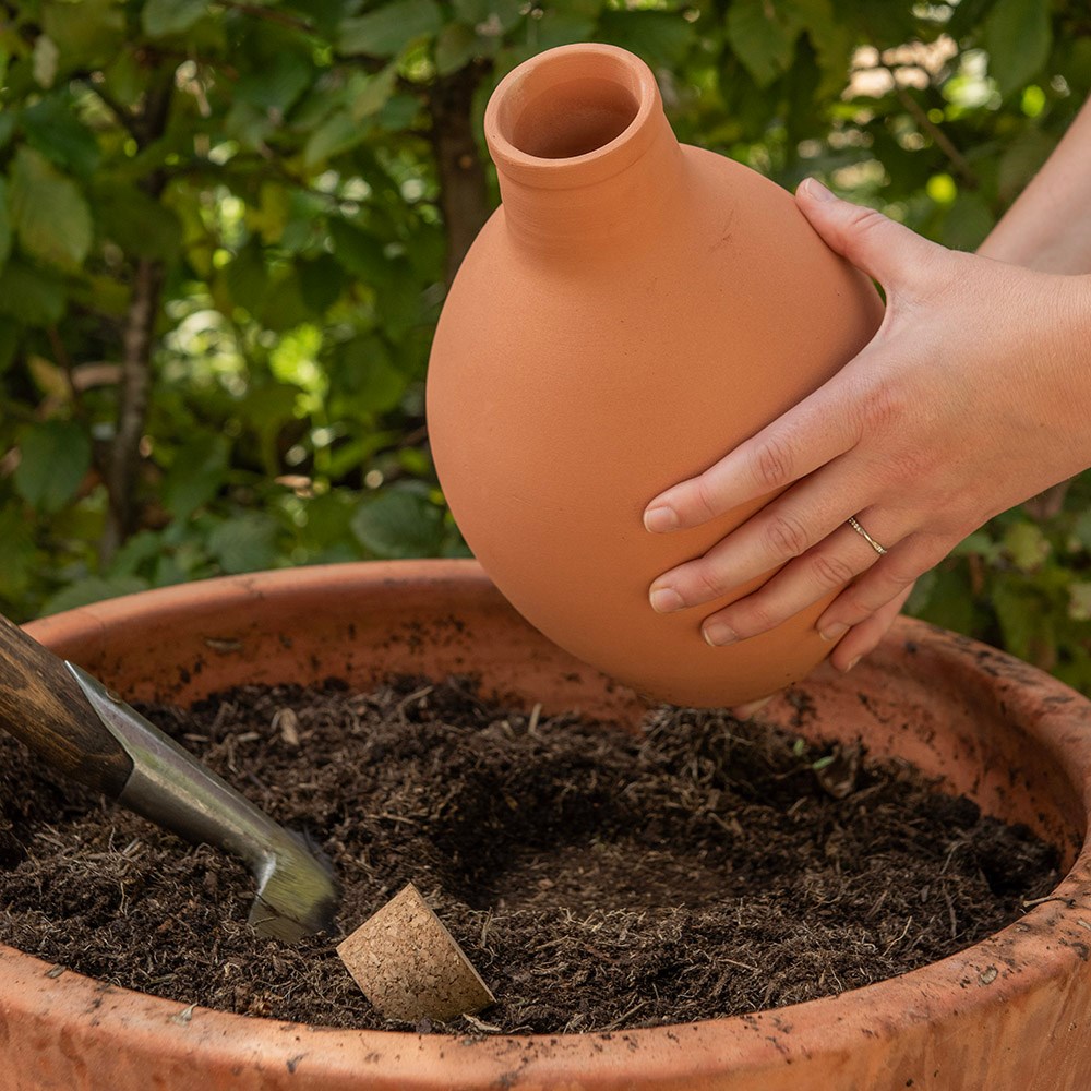 Olla irrigation pot