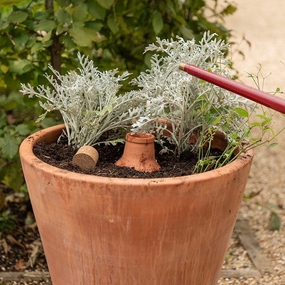Olla irrigation pot