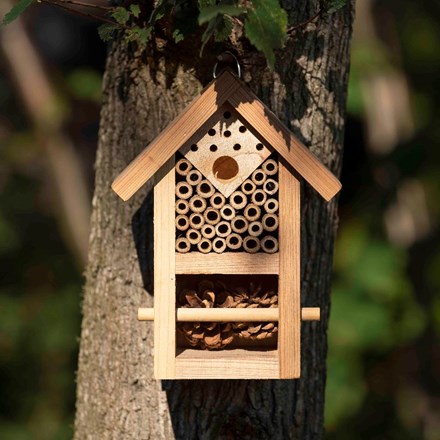 Insect house