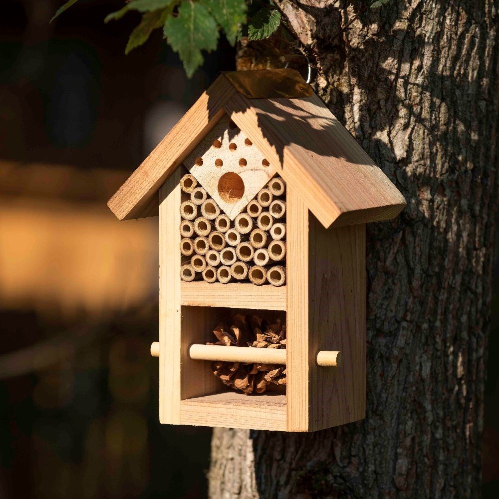 Insect house
