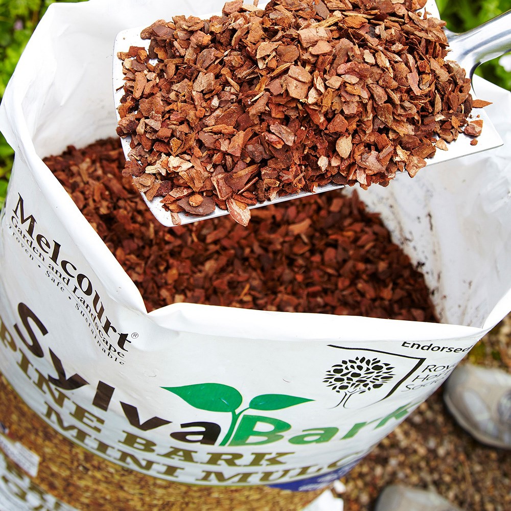 RHS SylvaBark pine mini mulch