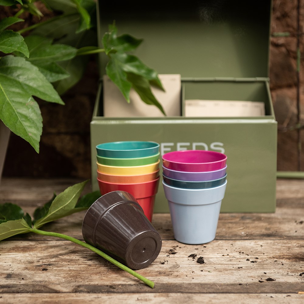 Bamboo fibre eco pots - pack of 10
