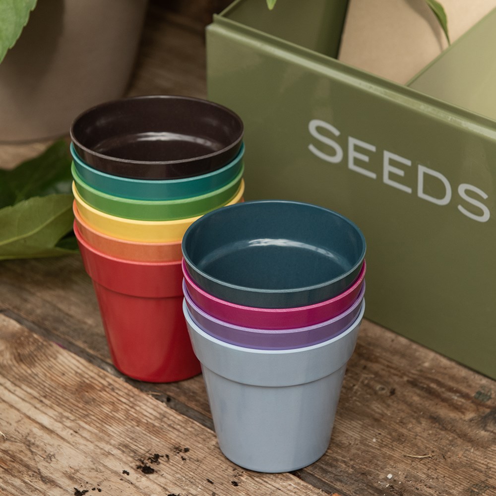 Bamboo fibre eco pots - pack of 10