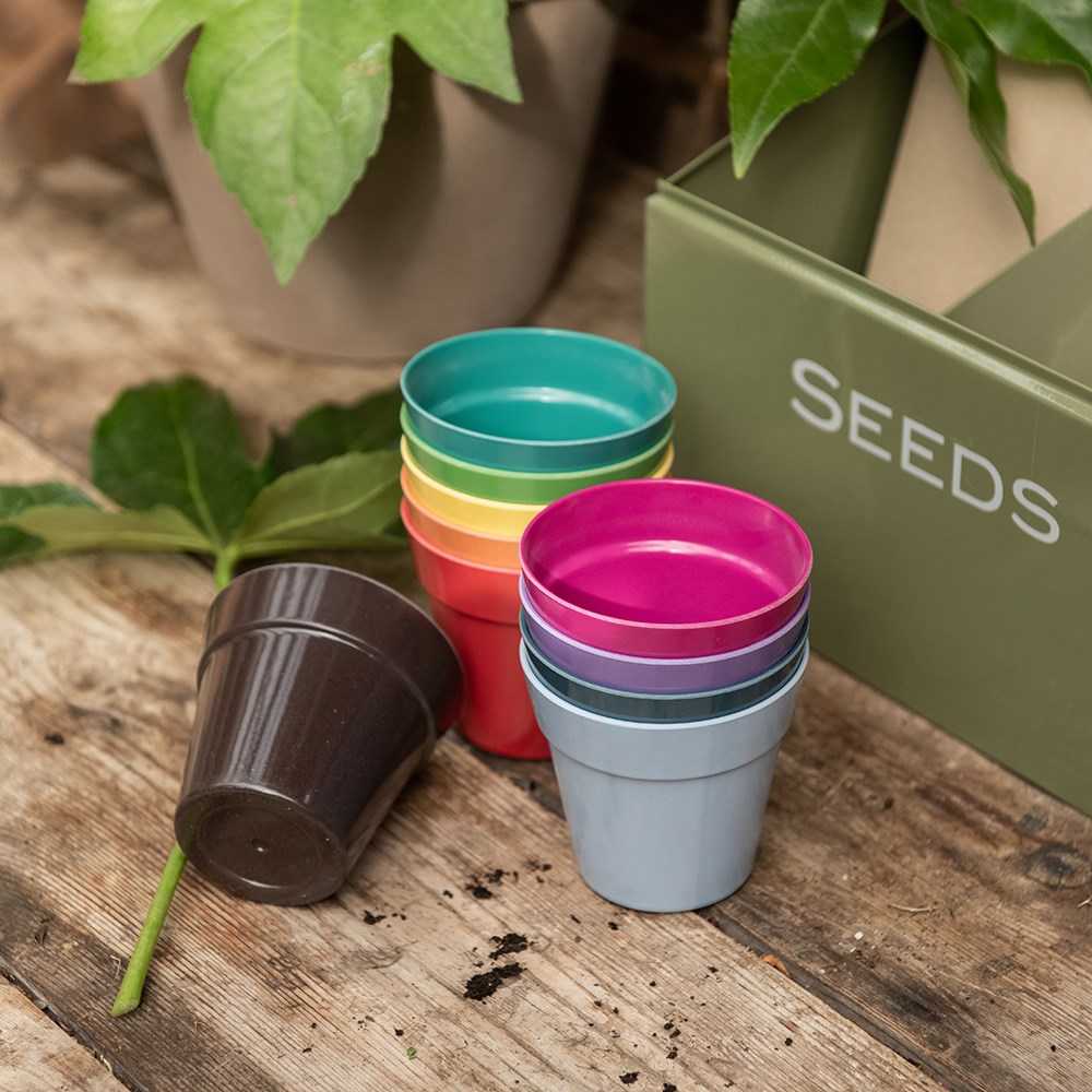 Bamboo fibre eco pots - pack of 10