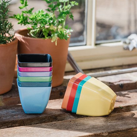 Bamboo fibre square eco pots - pack of 10