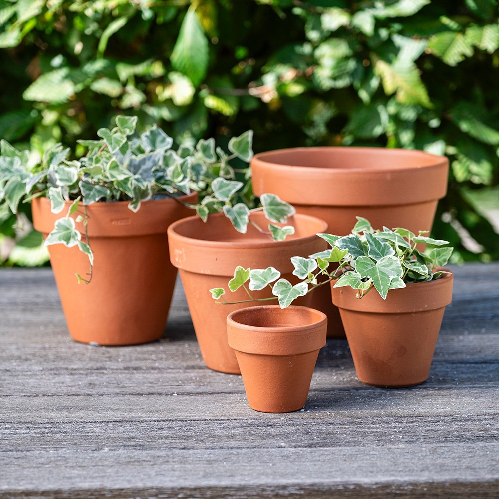 Classic Italian terracotta pot