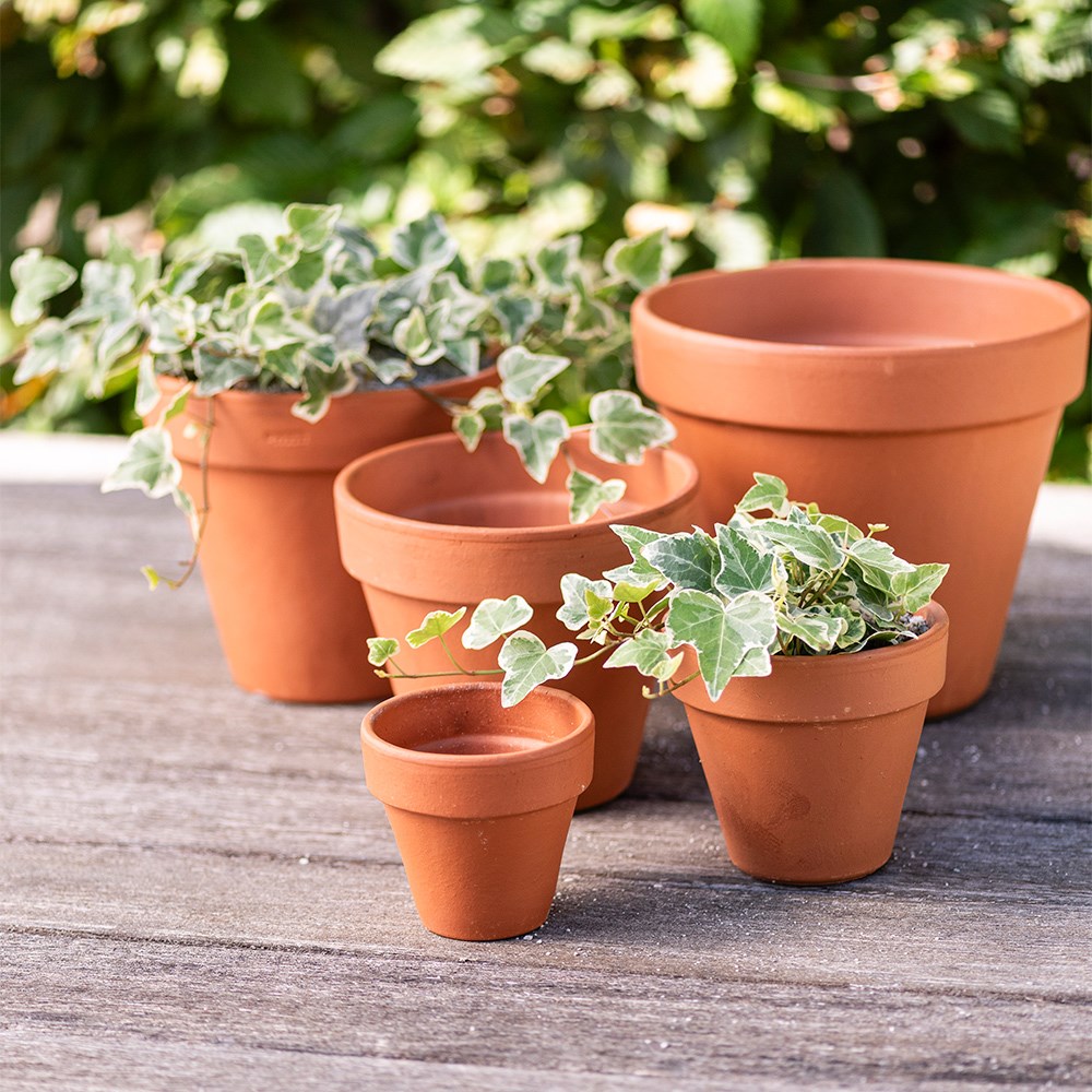 Classic Italian terracotta pot