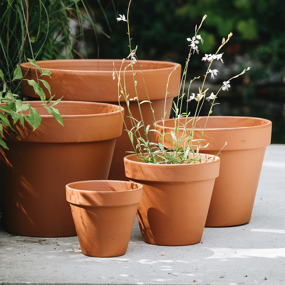 Classic Italian terracotta pot
