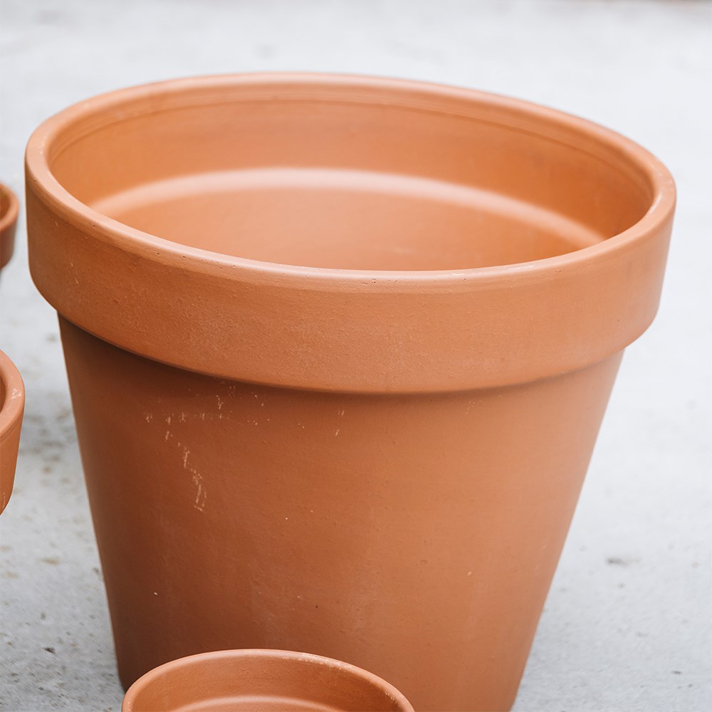 Classic Italian terracotta pot