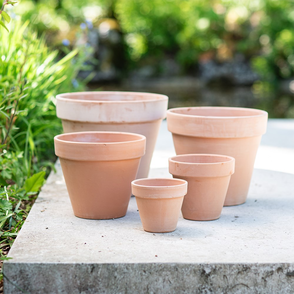 Classic Italian terracotta pot whitewash