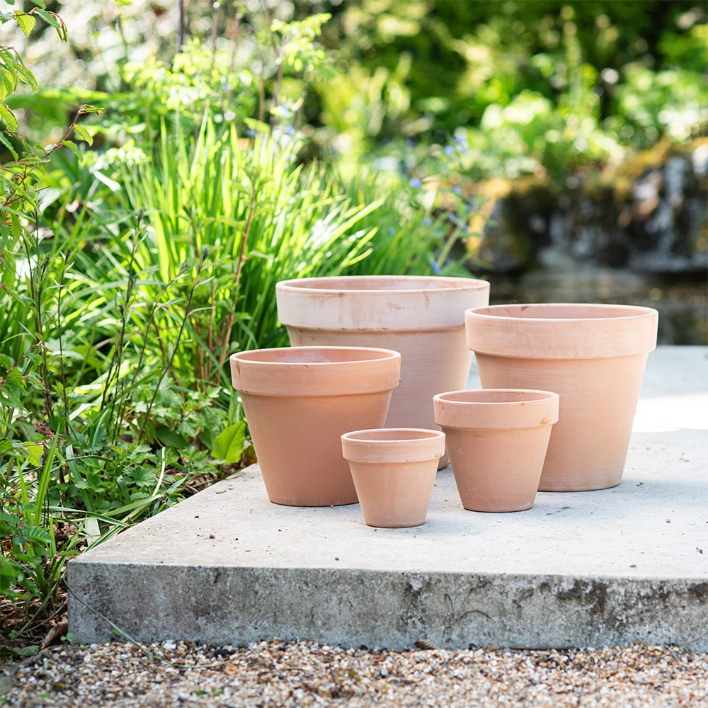 Classic Italian terracotta pot whitewash