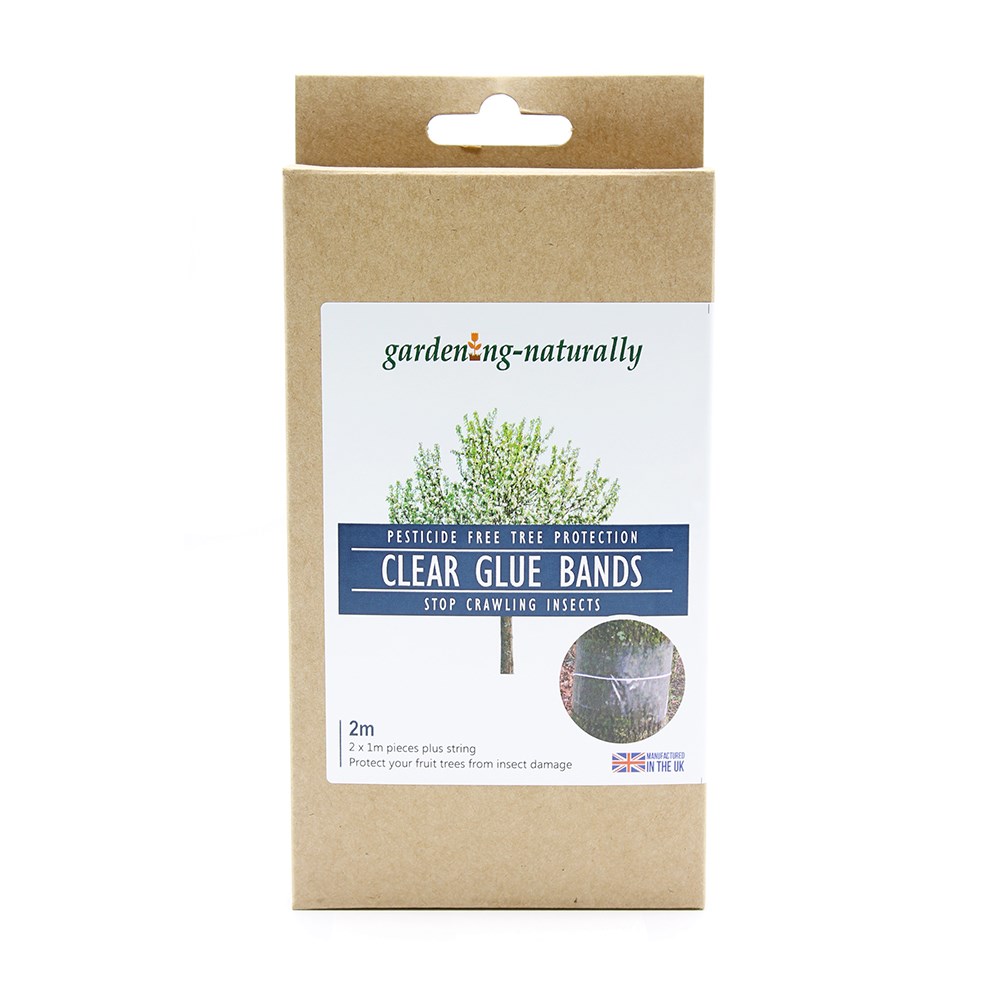 Glue bands - pack of 2