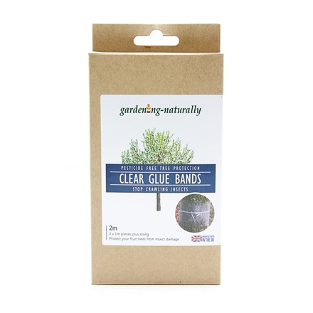 Glue bands - pack of 2