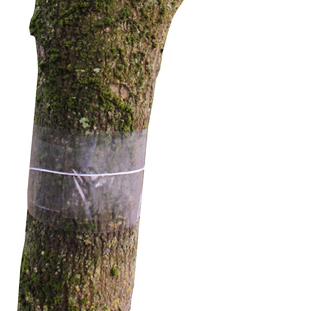 Glue bands - pack of 2
