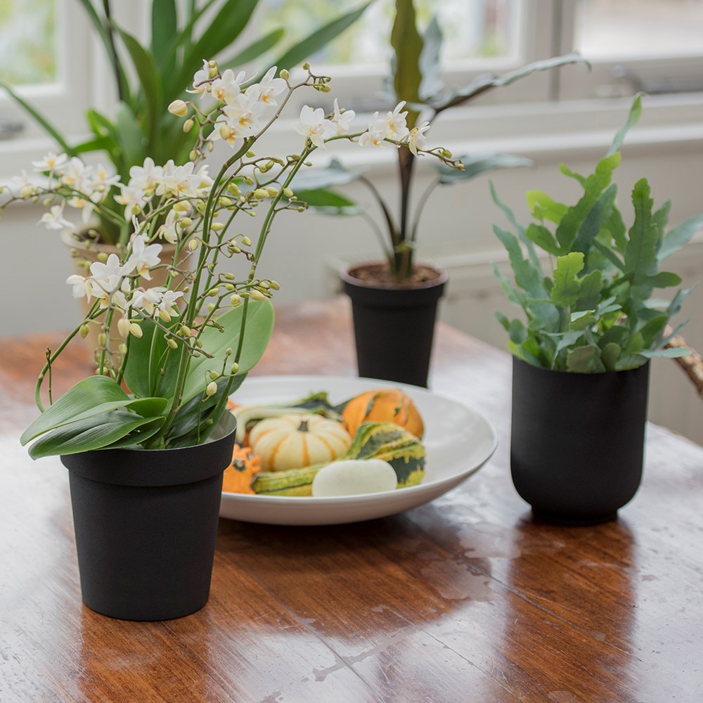 Charcoal metal plant pot cover with enamel interior
