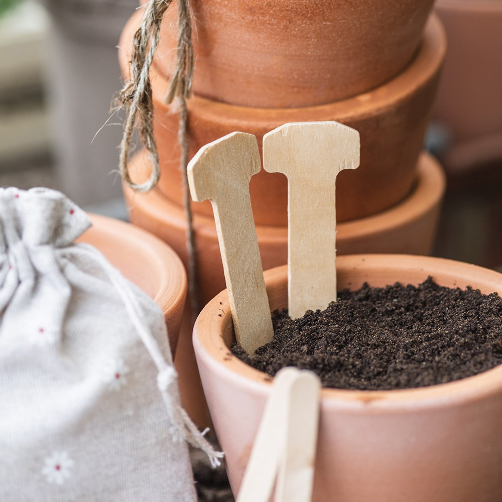 Wooden plant labels - set of 80