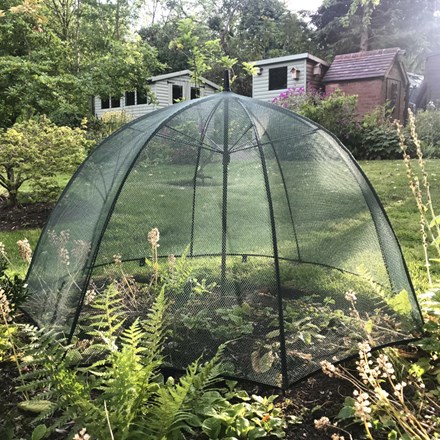 Plant protection umbrella