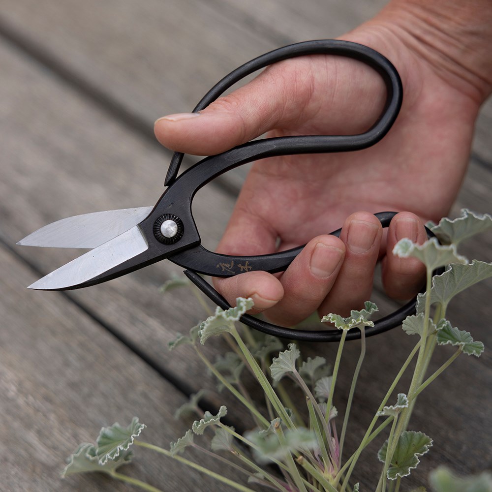Niwaki Sentei garden scissors