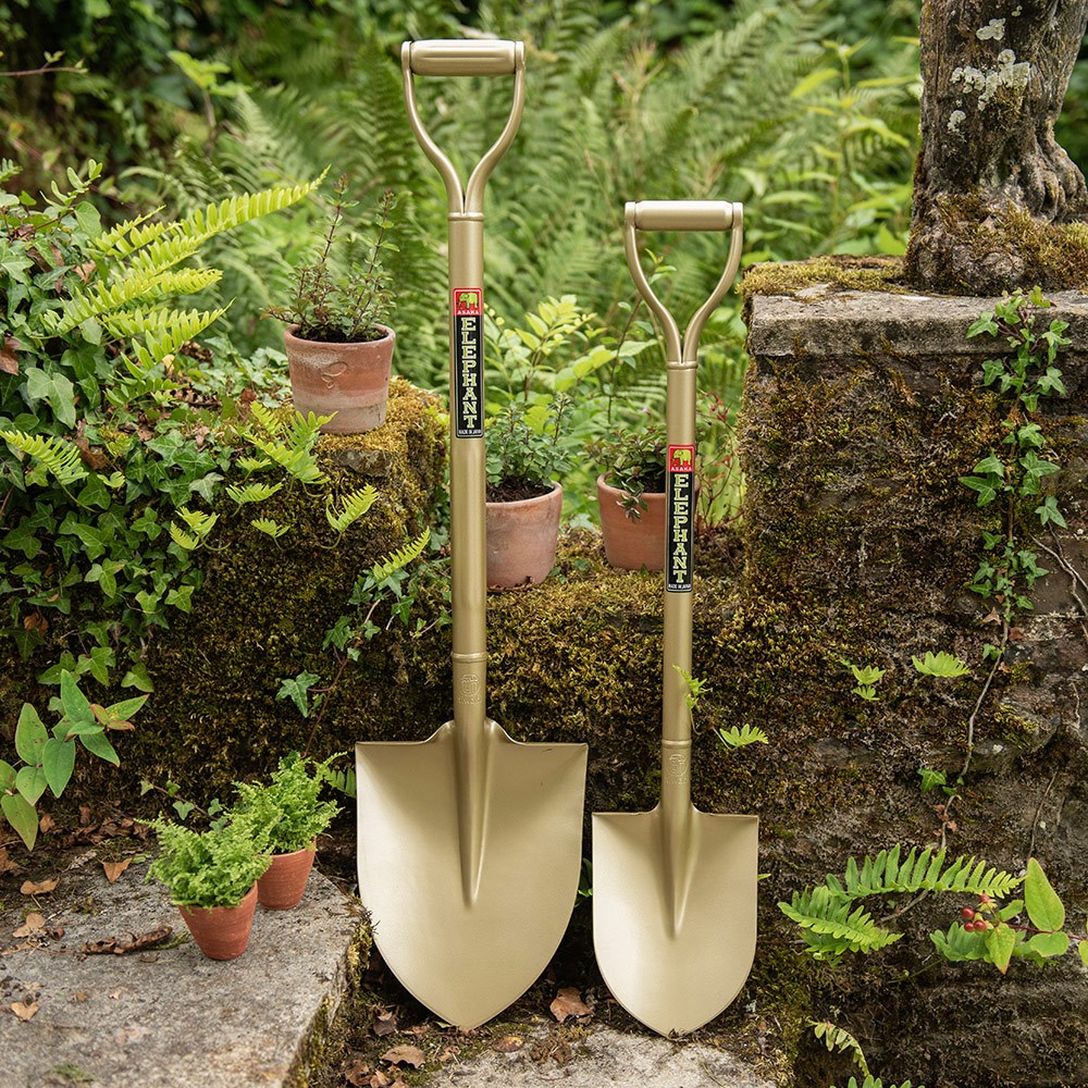 Niwaki golden spade
