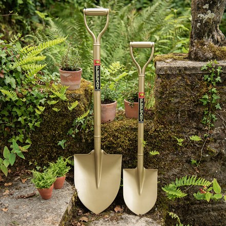 Niwaki golden spade