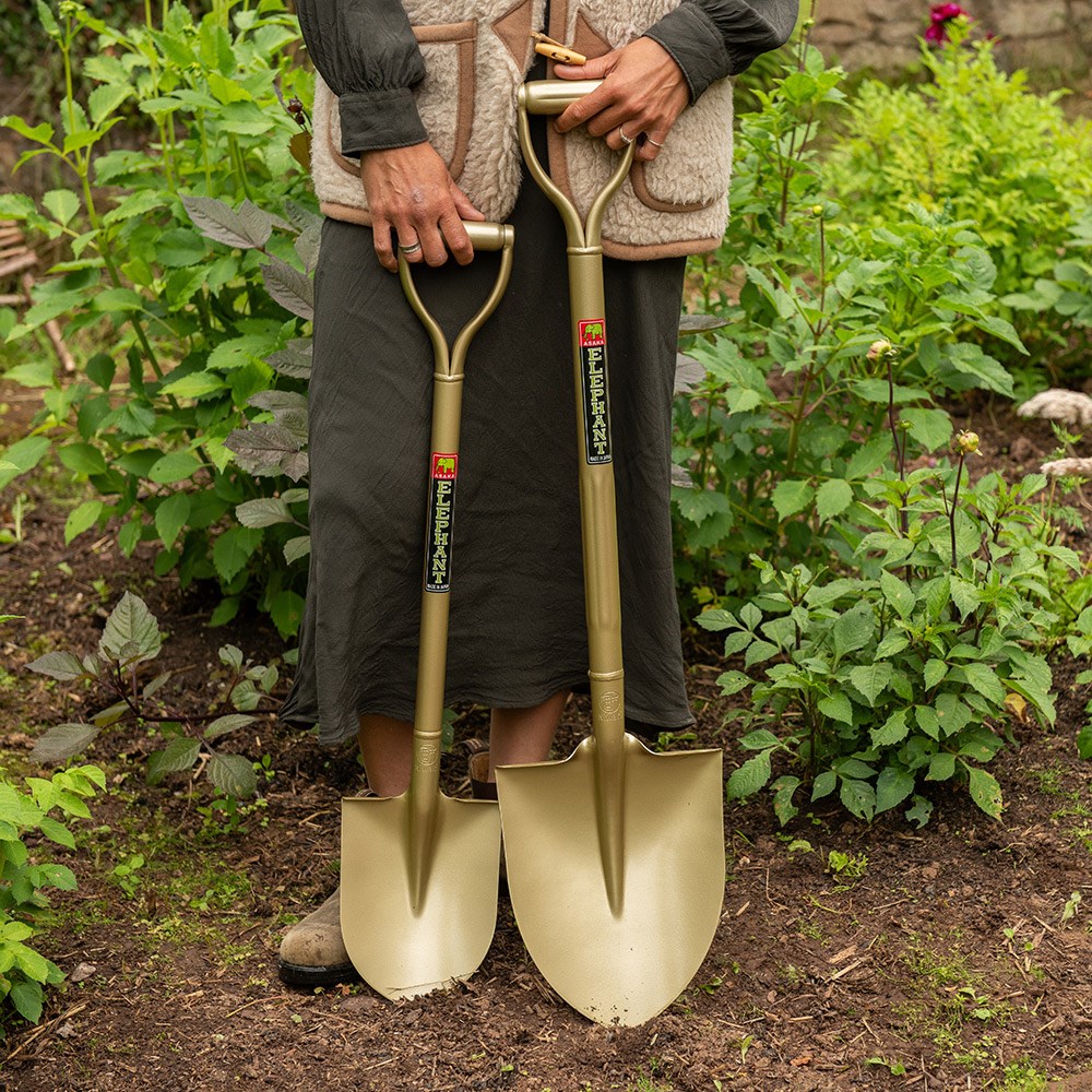 Niwaki golden spade